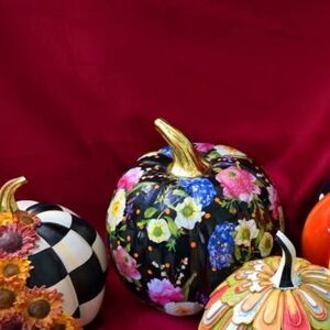 Colorful Decorative Pumpkins Set